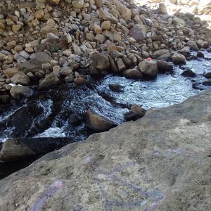 Meet your Posher, Chomy